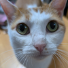むん