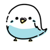 🎶🐦インコ🎤😊🎼
