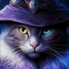 🐱 アラレ😄《🔱🐱🔱😄🌟✨》