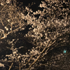 ペロ
