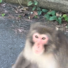 おじさる