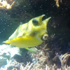 ྀི玄斗ྀི