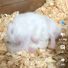 世界の山ちゃん！！！