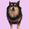 日和