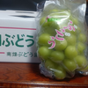 シャインマスカット🍇🐢
