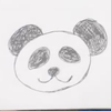 しんしん🐼🥤