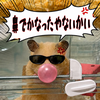 あこくに