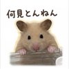 あこくに