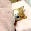 ばび様(コンビーフ師匠)
