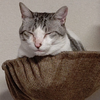 てらじいです