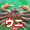 湯たんぽ