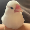 さーみ