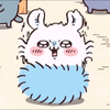 ﾓﾓﾝｶﾞ