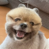 ︎