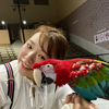ユーザーアイコン