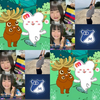 ✨アンドレシト心湖 🧸☘️🇯🇵💏🇨🇴みひろ愛✨