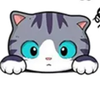 アクビちゃん🥱