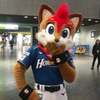 ふぁいちゃん🦊
