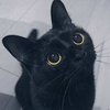 ユーザーアイコン