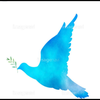 青い鳥🍶🕊️🪽
