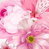 華音
