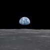 アースん🌎
