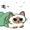 そしの🦋💜