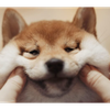 💍 테루루 テ〜ル〜ル〜💍
