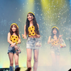 🌼ごんちゃん🌼【🌼ののあMG🌼】