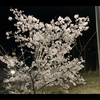 リペア