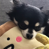 むらた