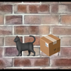 🐈‍⬛📦
