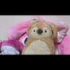 ルラ ねね🐧😉推し