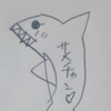 🐟🦈ｻﾒﾁｬﾝ🦈