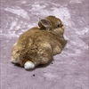 まりちゃん🍞🐰