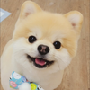ぽんちゃん🥺💗