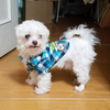 せいじ🐶【そらみ❄❤MG】