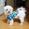 せいじ🐶【ぴみ🐶🍯MG】
