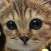 ちか