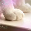 PTI｜ぷちいぬ🐶🌱