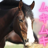 馬刺しニキ🐴ྀིྀིྀིྀི🥩