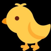 ﾋﾟﾖ🐤🐤🐤...
