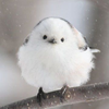 ユーザーアイコン