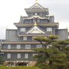 赤色トマト