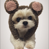 こじくん🐶/🌷🌻