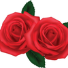 ྀི🌹🌹