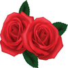 ☆翔☆｡🌹🌹