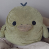 ピカちゃん🐥