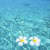 みぃ