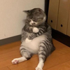 ワクチン痛かった